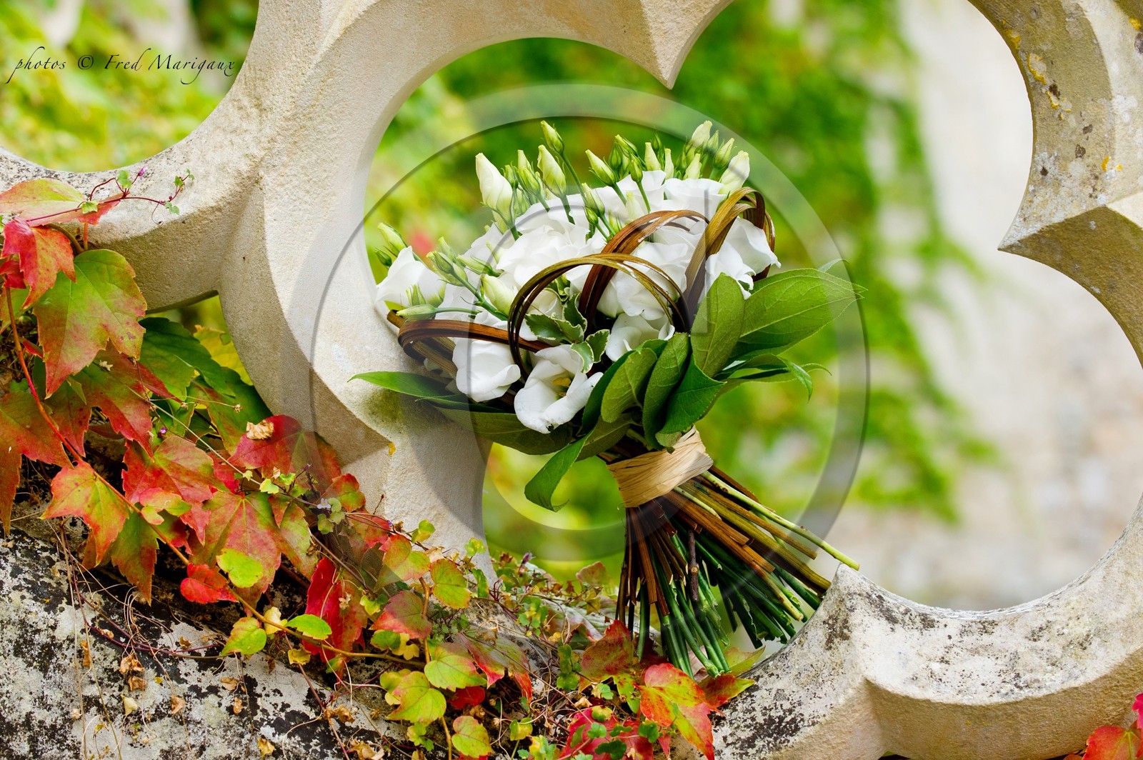 FRED MARIGAUX_15.jpg