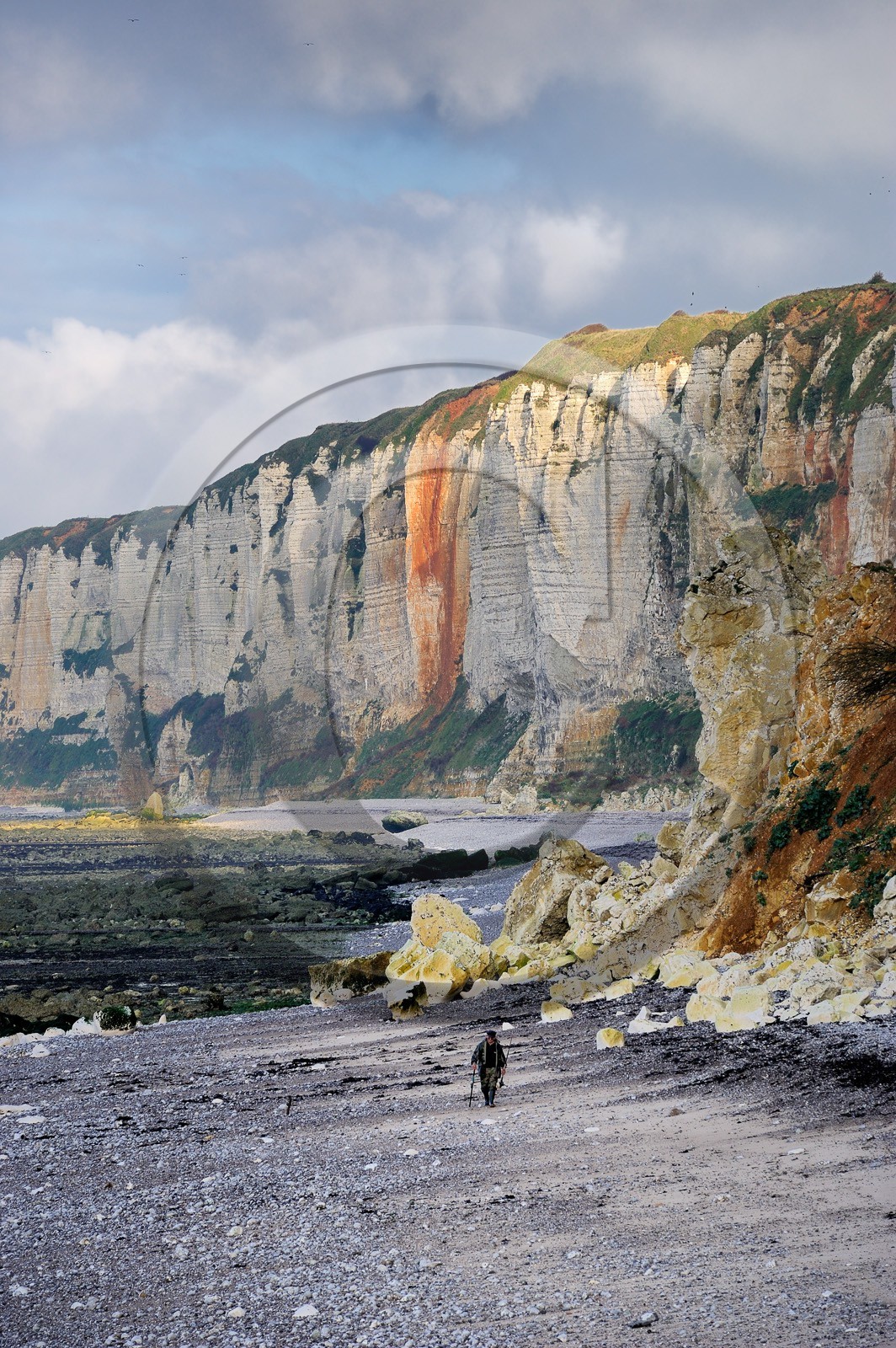France, Seine-Maritime (76), Côte d'Albâtre, Yport, un pêcheur marchant sur la plage à marée basse au pied des falaises  France, Seine-Maritime, Cote d'Albatre, Yport, a fisherman walking on the beach at low tide under the cliffs