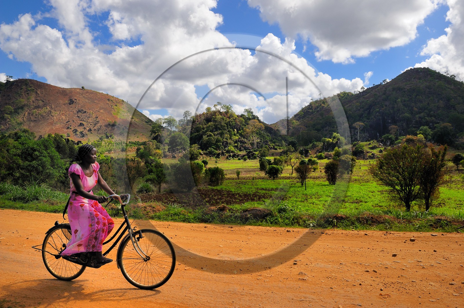Tanzanie, région de Morogoro, les Monts Uluguru, cycliste sur la piste de Matombo    Tanzania, Morogoro district, Uluguru mountains, cycliste on the Matombo track